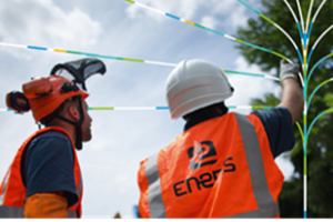 Elagage – Qui est responsable ? Propriétaire ou Enedis