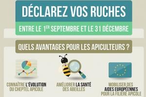 Déclaration des ruches avant le 31 décembre